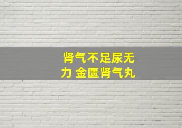 肾气不足尿无力 金匮肾气丸